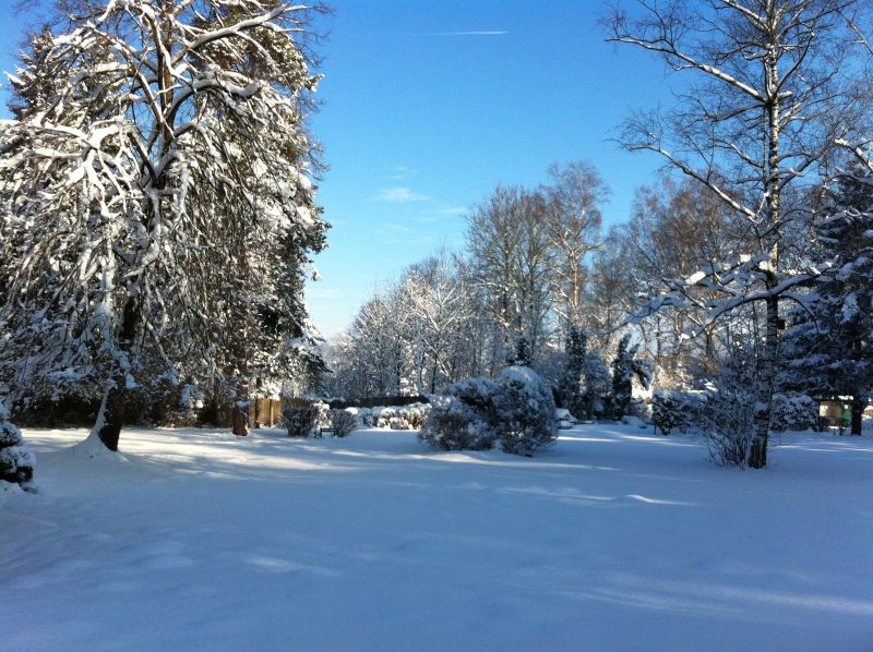 Winter
